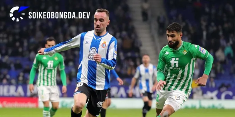 Nhận Định Middlesbrough Vs Espanyol Lúc 21h00 Ngày 01/08 4 Chuyên sâu các kèo đấu trong trận Middlesbrough vs Espanyol